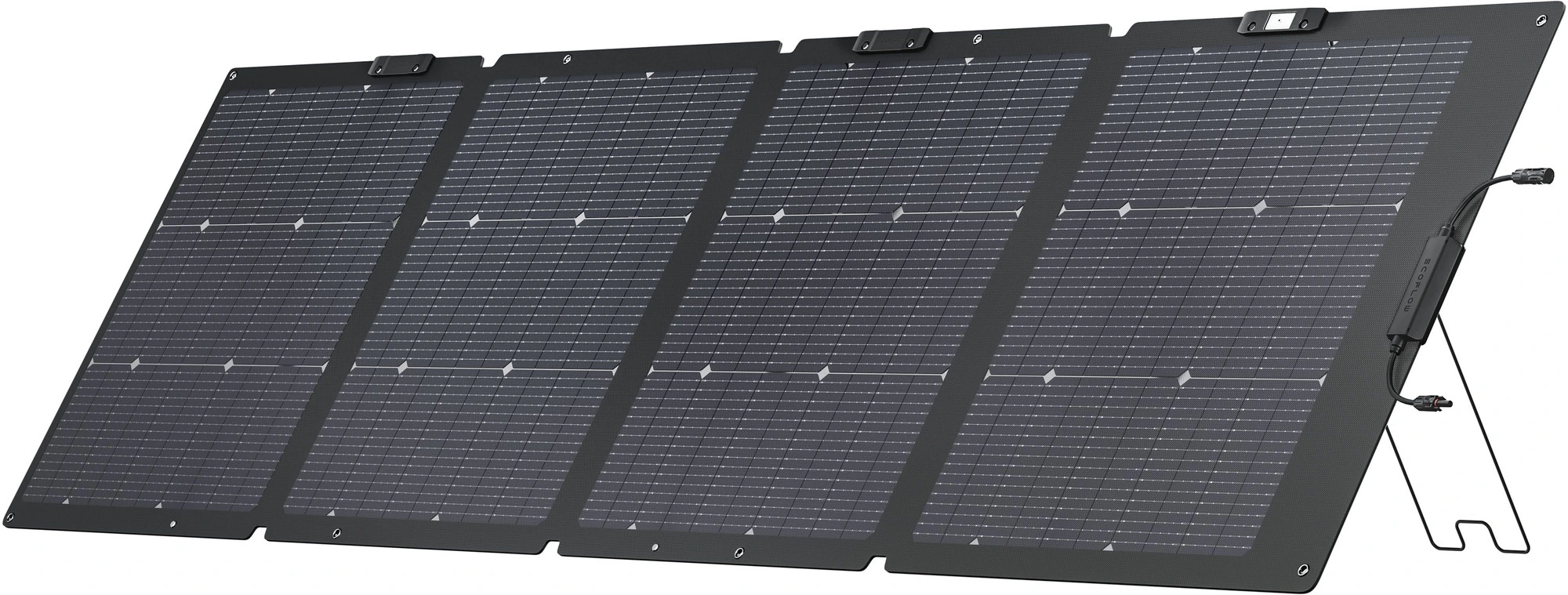 EcoFlow 220W фото 4
